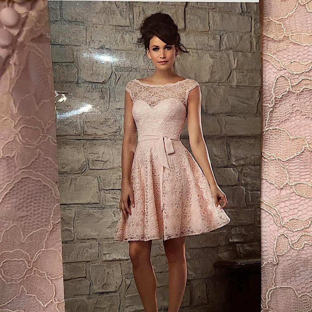 Madeline Gardner Lace Affairs Pink Dress 2 NWT